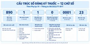 Cấu trúc Số đăng ký thuốc